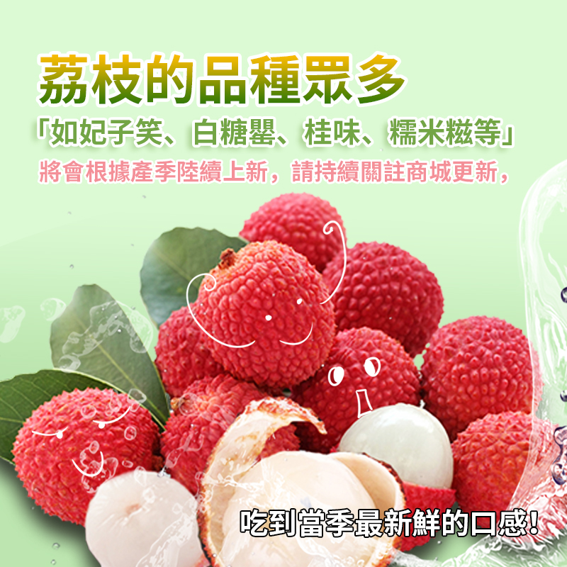 荔枝 1