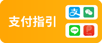 支付指引