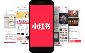 下载 (1).jpg